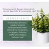 Pursonic Multi-Use Flower Body Oils (EUCALYPTUS)