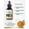 Carlyle Liquid Turmeric and Ginger Supplement | 2 fl oz | with Black Pepper | Vegan, Non-GMO, Gluten Free