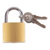 Blackspur - Iron Padlock - 3cm - Brass