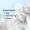 Downy Fabric Softener Dryer Sheets, Cool Cotton, 240 Count