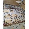 210+  KINGsBROWN XL. JUMBO brown coturnix quail hatching eggs,