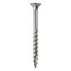 2" Ss Star Deck Screw