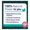 Arm & Hammer 100% Natural WHITENING Protection Toothpaste