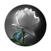 White Rose Floral Cellphone Accessories