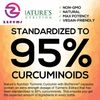 Turmeric Curcumin with Bioperine & Ginger 95% Standardized Curcuminoids 1950Mg -