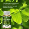 Ginkgo Biloba Extra Strength-Suppo