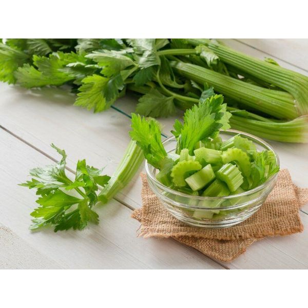 1000+ Tendercrisp Celery Seed, Heirloom NON-GMO Fresh Seeds FAVORITE & FLAVORFUL