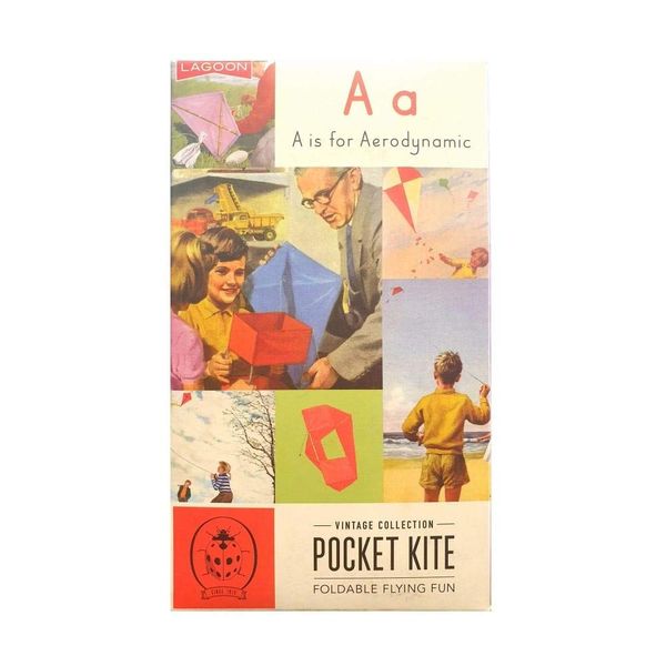 Ladybird Books Pocket Kite