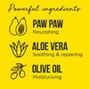 Dr.PAWPAW It Does It All Conditioner
