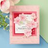 Spellbinders 3D Embossing Folder, Plastic, One
