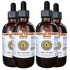 Birch (Betula Alba) Liquid Extract 4x4 Oz