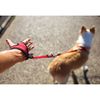 EzyDog Handy Leash - Hands Free Dog Lead Red