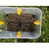 Wasp Trap Ferrules (x20)