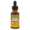 Herb Pharm Certified Organic Ginger Liquid Extract for Digestive Support - 1 Ounce