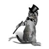 CafePress Tap Dancing Cat Oval Car Bumper Sticker