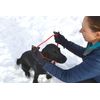 K9 Bridle - to stop your dog pulling (Medium, Red)