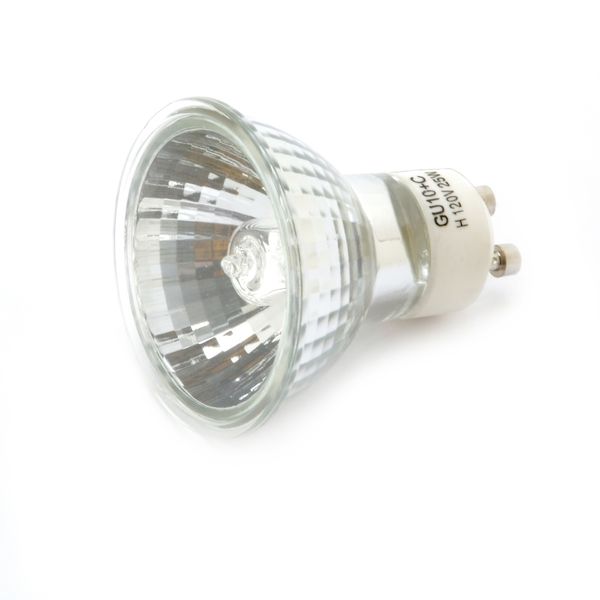 Darice Halogen Replacement Bulb 120 Volts 25 Watts