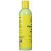 Jamaican Mango & Lime Mango & Shea Butter Lotion 8 Oz