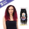 FreeTress Crochet Braids Boho Hippie Braid 12" (5-PACK, 1)