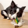 PetBox Dog Bone Chew Toy, Soft TPR Rubber - Small 5.5" Size