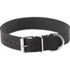 Spartacus Plain Collar with Buckle and D Ring