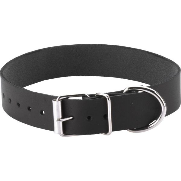 Spartacus Plain Collar with Buckle and D Ring