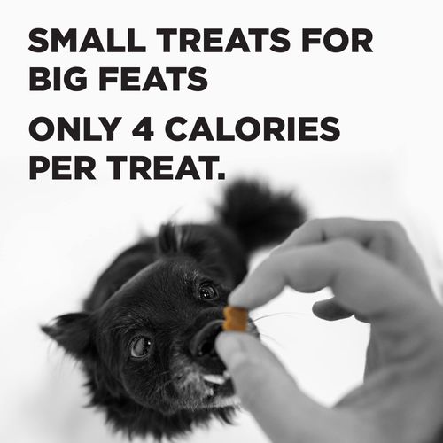 BIXBI Pocket Trainers, Peanut Butter (6 oz, 1 Pouch) - Small Training Treats for Dogs - Low Calorie and Grain Free Dog Treats, Flavorful Pocket Size Healthy and All Natural Dog Treats