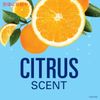 Secret Invisible Solid Deodorant [Citrus] Vacation Collection 73g Invisible Solid Deodorant Citrus 2.6oz
