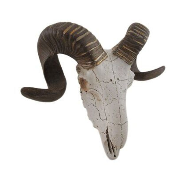 Deco 79 Polystone Sheep Home Wall Decor Skull Wall Sculpture, Wall Art 14" x ...