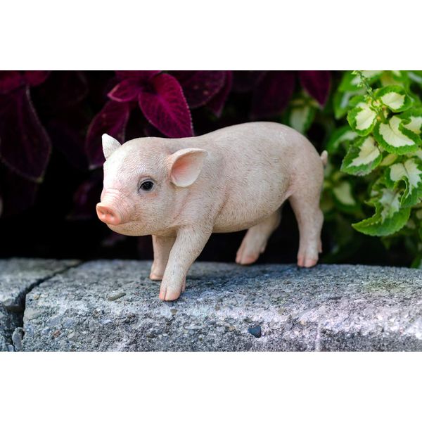 Hi-Line Gift Ltd Stanading Baby Pig, 5"
