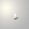 Starborn Peaceful Mind Crystals transparent