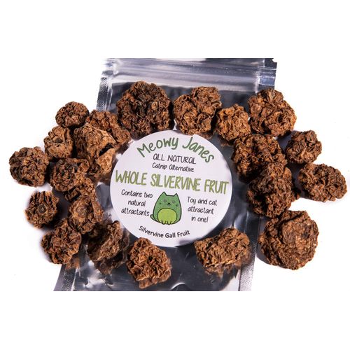 Meowy Janes Whole Silvervine Fruit- Dried Silvervine Gall Fruit- Actinidia Polygama - Cat Toy - Cat Treat