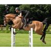 LeMieux Puissance Suede Close Contact Square - Equestrian Saddle Pad - Breathable - Brown - Small/Medium