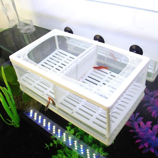 SENZEAL Aquarium Netz Ablaichbehälter Fisch Isolation Zuchttank Brutkasten Inkubator Mesh Fisch Tank Isolation Box für Aquarium Baby Fisch mit 3er Pipette