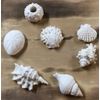 Ocean Breeze Seashell Gift Basket