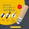 Shachihata XL-9PCL-CF4 Capless Holder for Name 9, Vanilla
