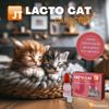 JT LACTO CAT 4X50GR