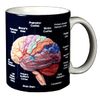 WILD COTTON Brain 11 Ounce Ceramic Coffee Mug (WC462M)