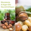 Macadamia Natural Oil Rejuvenating Shampoo 10 oz