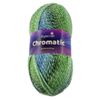Stylecraft Chromatic 100g Double Knitting Acrylic & Wool Blend (7304 Whispering Willow)