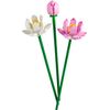 LEGO Flowers 40647 - Lotus Flowers