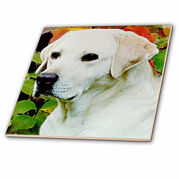 3dRose Light Cream Labrador - Ceramic Tile, 4-inch (ct_655_1)