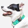 TagVault™ AirTag Dog Collar Mount - IP69 Waterproof, Doesn't Dangle, Fits All Width Collars | Elevation Lab