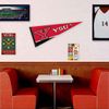 Youngstown State Penguins Pennant Full Size Felt