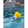 Chlorine Dispenser