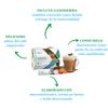 Fuxion Ganomas Cappuccino Café Instantáneo Con Ganoderma y Micronutriente