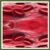 Immune Support Cholesterol Reducing Complex - Policosanol - Cayenne (1 Bottle)