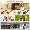 Adjustable Anti Bark Muzzle for Small Dogs - Breathable Mesh Soft Muzzle for Chihuahua (Orange, XS)