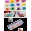 Nail Art Accessories 12-color three-dimensional nail dry flowers 60 Starry plus 60 five flower