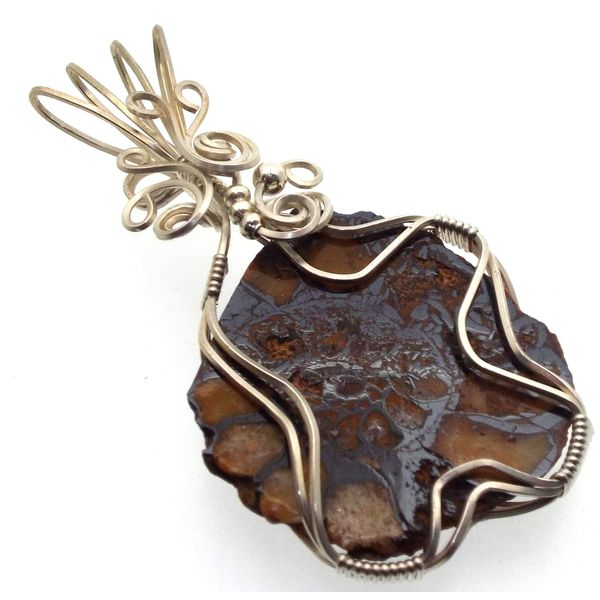 Ammonite Fossil Sterling Silver Wire Wrapped Pendant